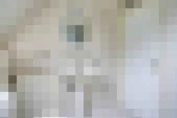 Ossenweide 36 Zwaag thumbnail 31