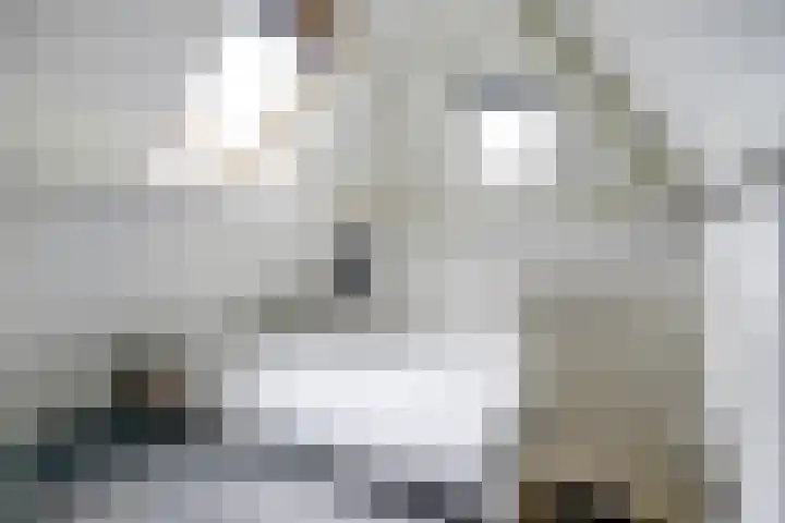Ossenweide 36 Zwaag thumbnail 33