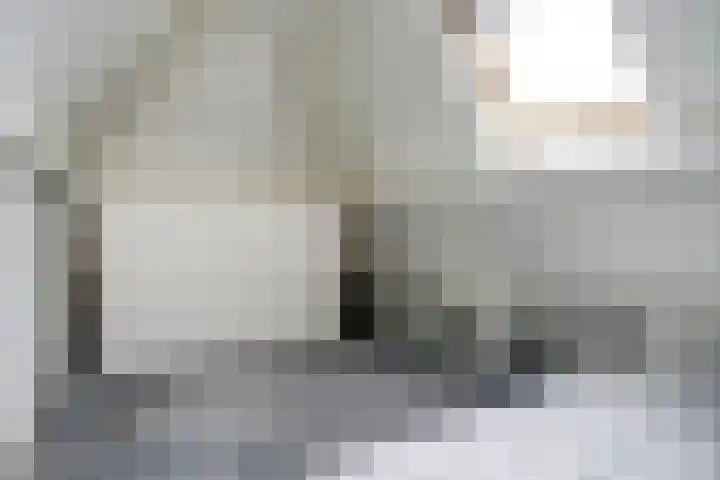Ossenweide 36 Zwaag thumbnail 35