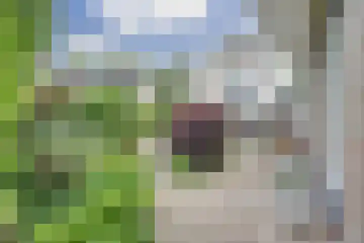 Ossenweide 36 Zwaag thumbnail 38