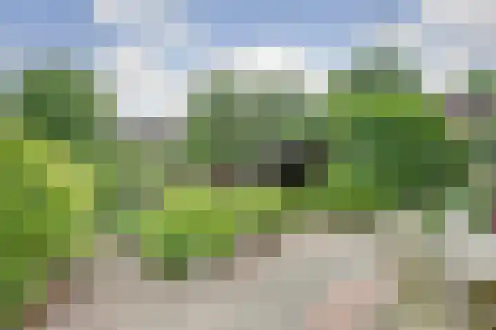 Ossenweide 36 Zwaag thumbnail 42