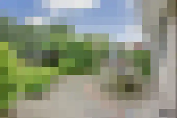 Ossenweide 36 Zwaag thumbnail 43