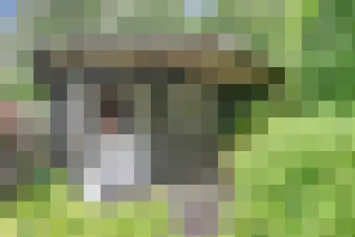 Ossenweide 36 Zwaag thumbnail 44