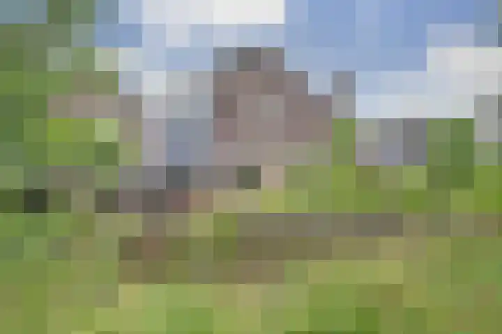 Ossenweide 36 Zwaag thumbnail 45