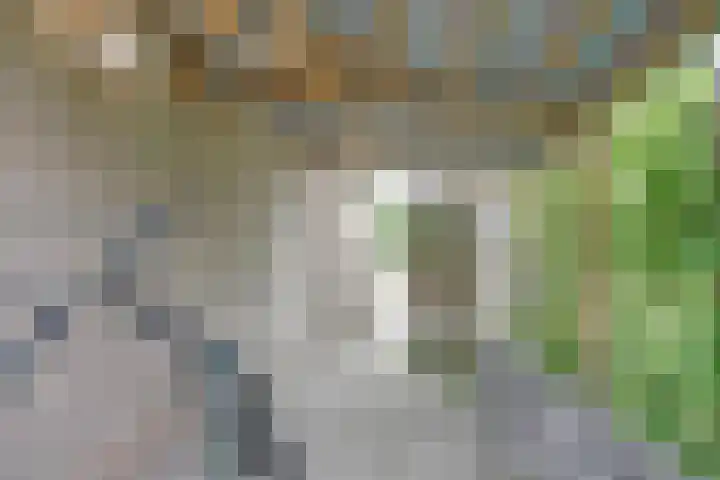 Ossenweide 36 Zwaag thumbnail 46