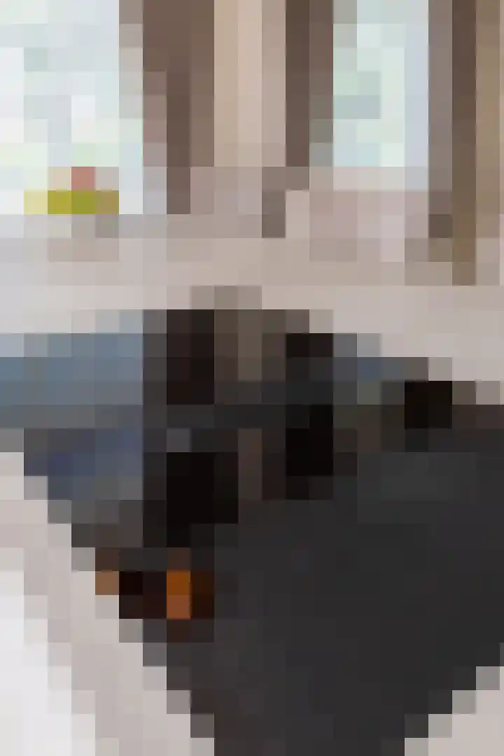 Ossenweide 37 Zwaag thumbnail 25