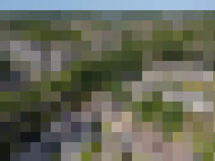 Ossenweide 37 Zwaag thumbnail 35