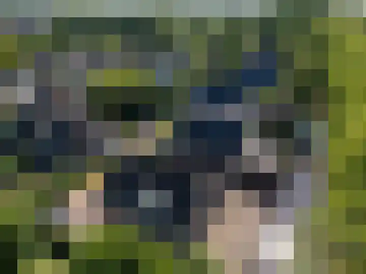 Ossenweide 37 Zwaag thumbnail 36