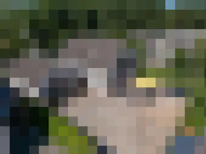 Ossenweide 37 Zwaag thumbnail 5
