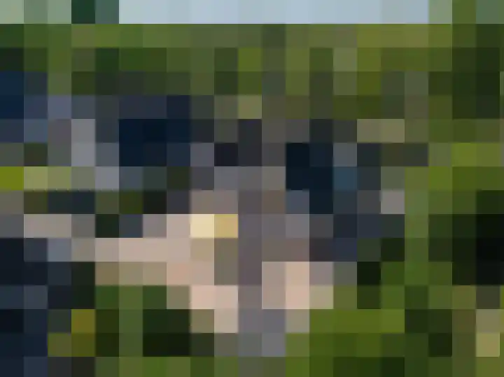 Ossenweide 37 Zwaag thumbnail 6