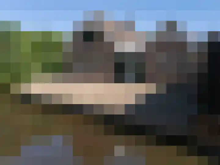 Ossenweide 37 Zwaag thumbnail 8