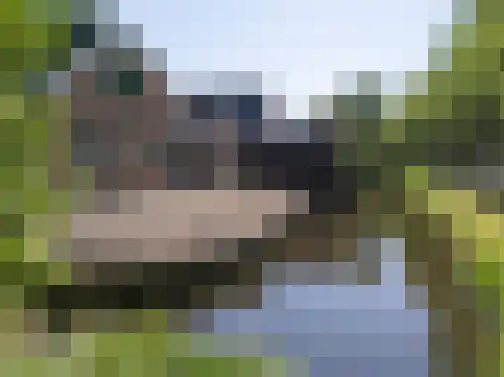 Ossenweide 37 Zwaag thumbnail 9