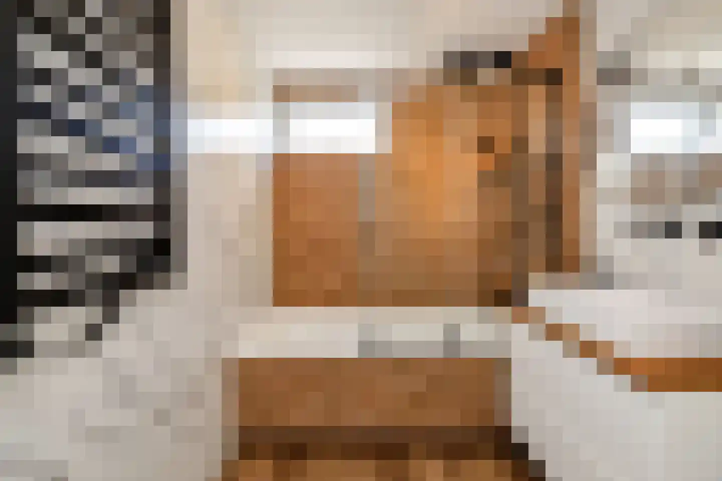 Ossenweide 5 Zoetermeer thumbnail 22
