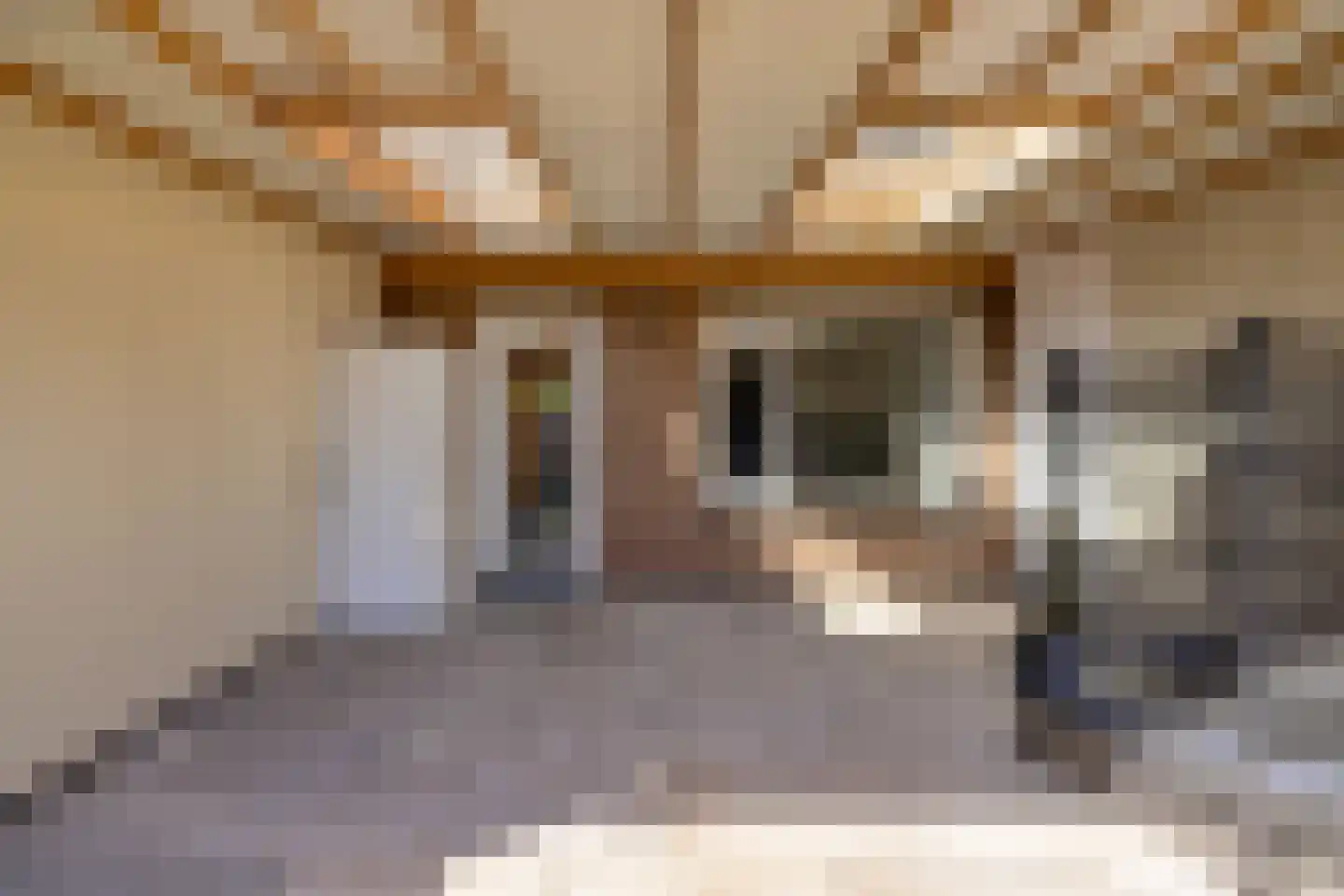 Ossenweide 5 Zoetermeer thumbnail 33