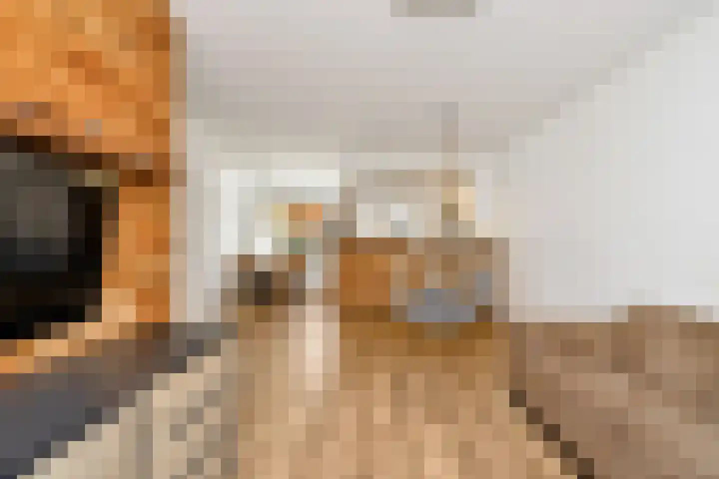 Ossenweide 5 Zoetermeer thumbnail 9