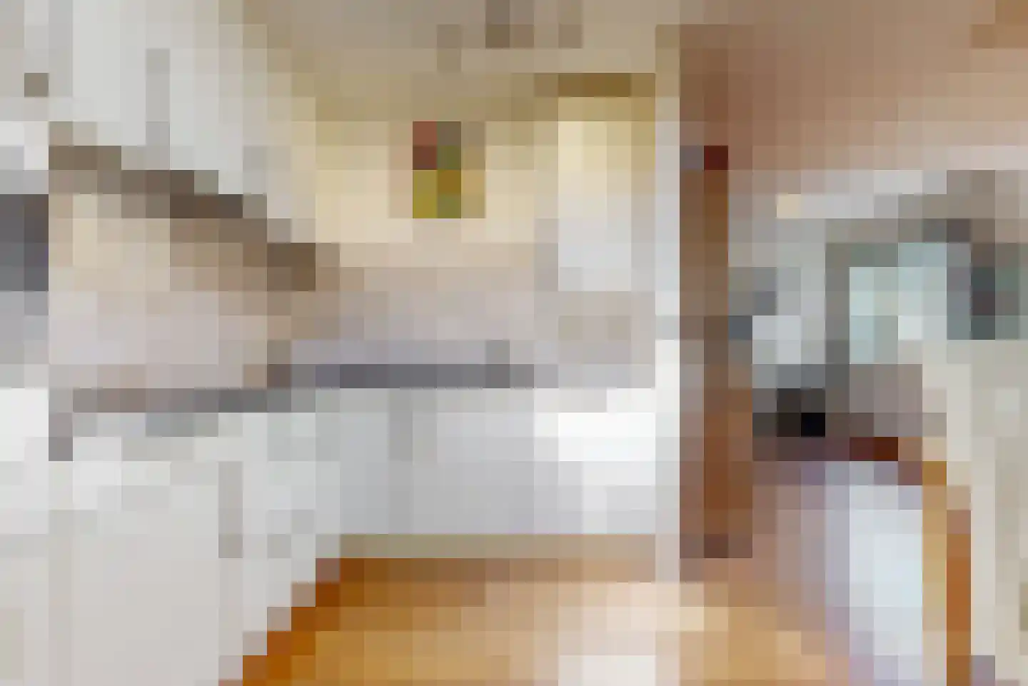 Ossenweide 56 Zwaag thumbnail 12