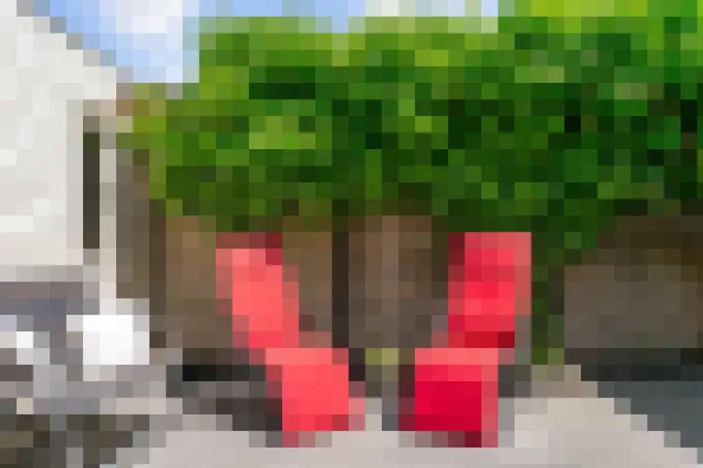 Ossenweide 56 Zwaag thumbnail 25