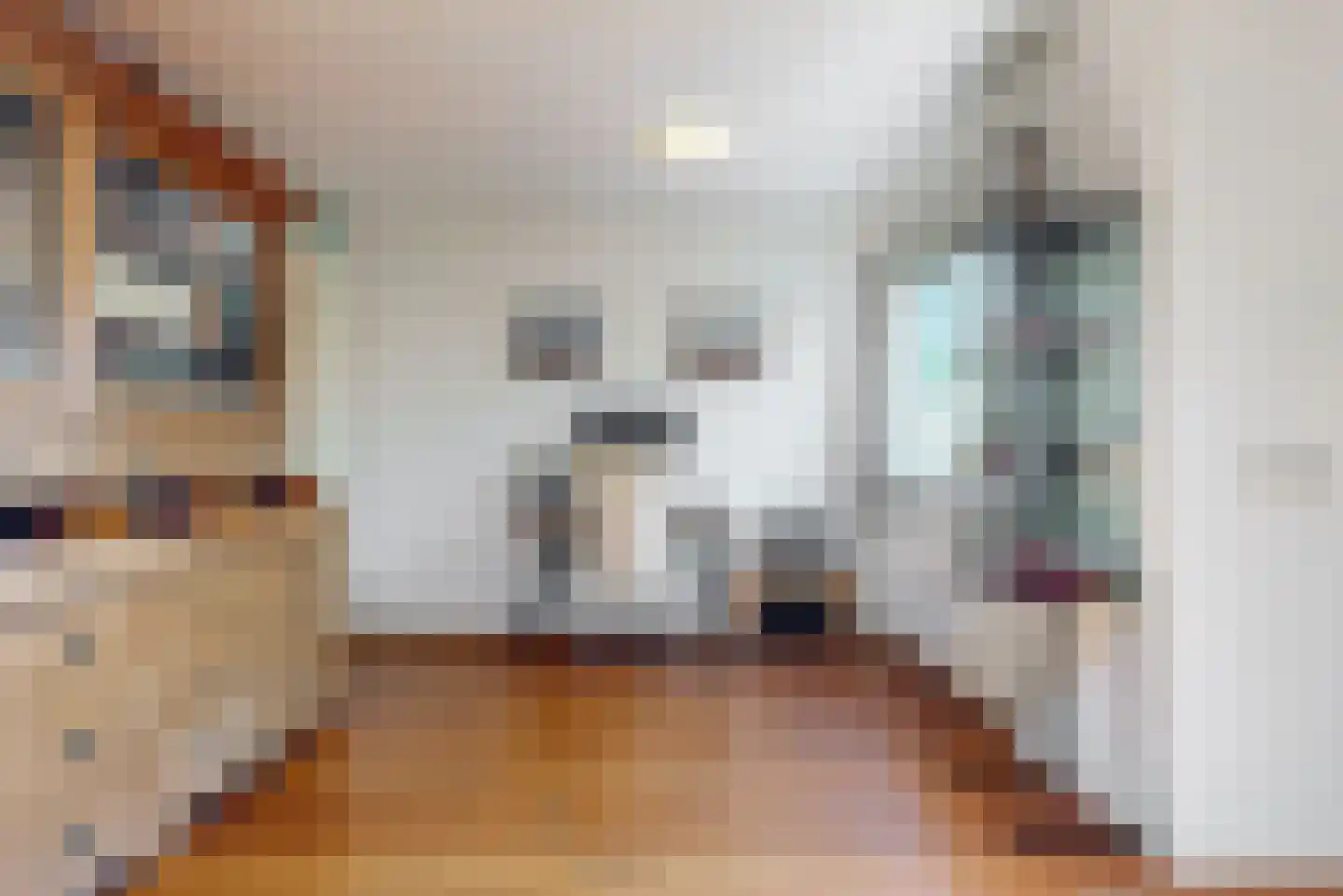 Ossenweide 56 Zwaag thumbnail 7
