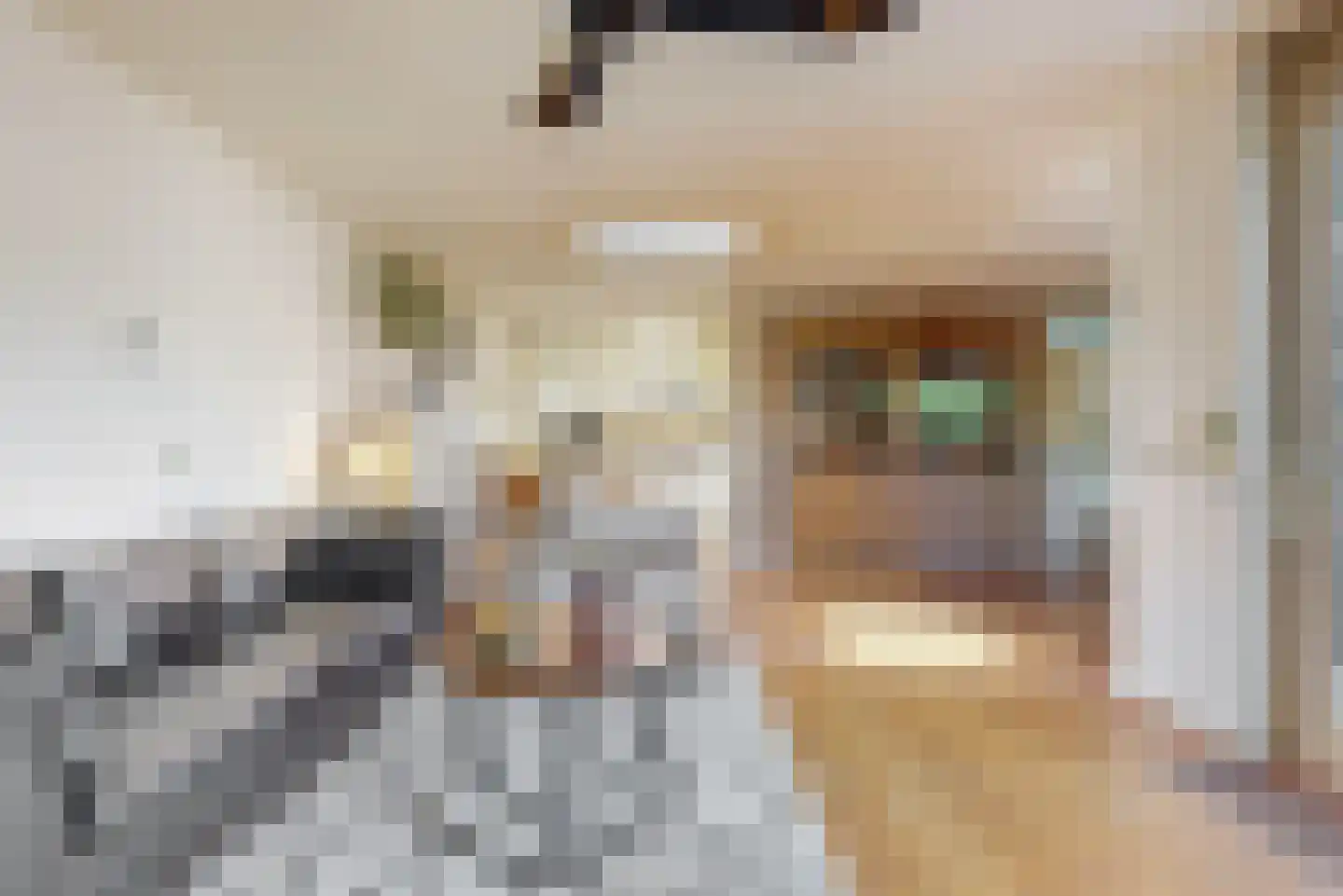 Ossenweide 56 Zwaag thumbnail 8