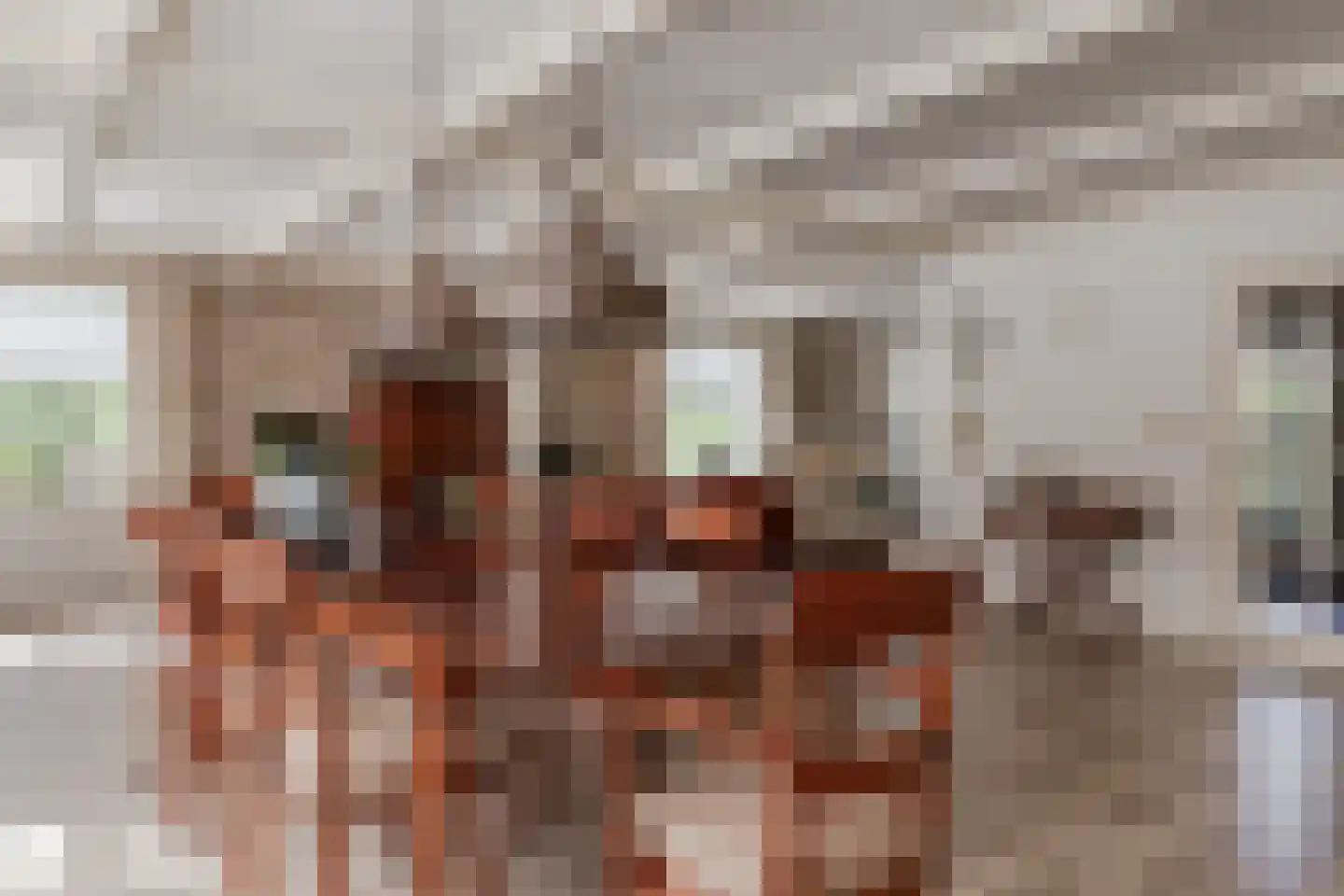 Ossenweide 68 Zwaag thumbnail 17