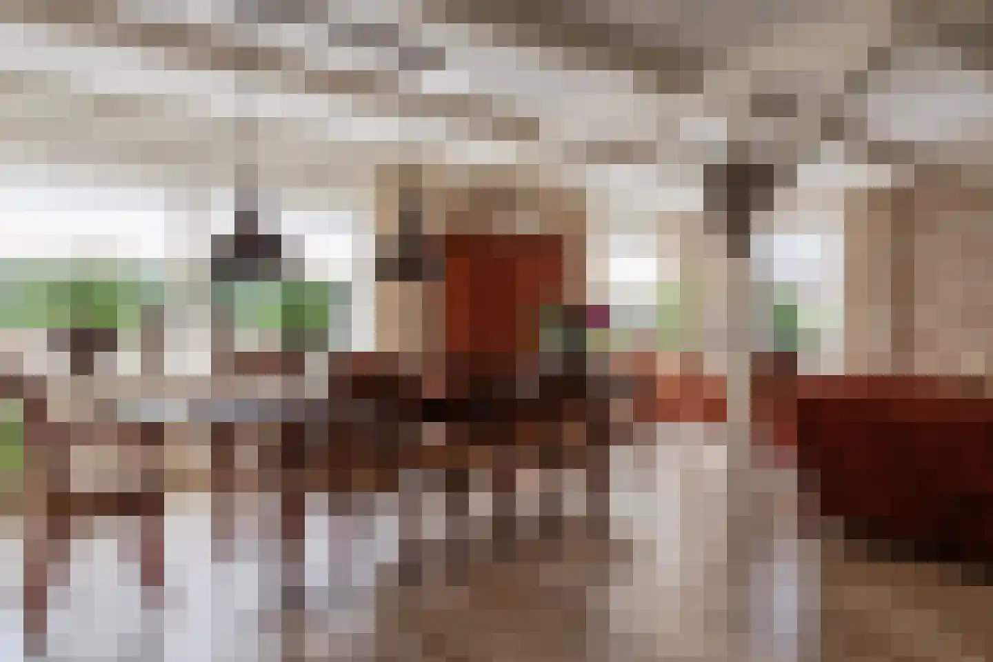 Ossenweide 68 Zwaag thumbnail 18