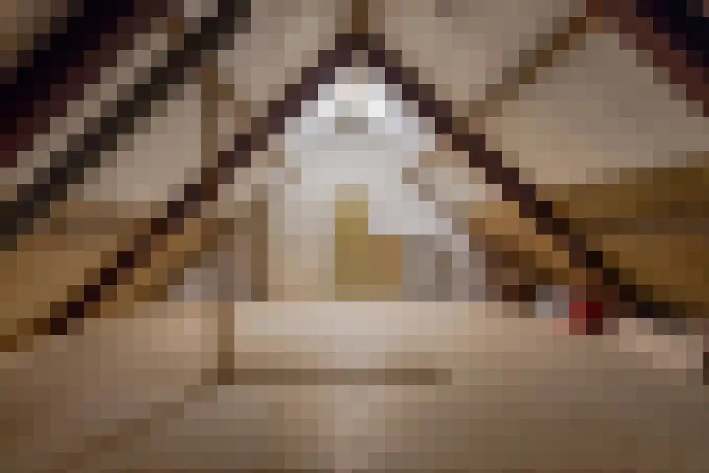 Ossenweide 68 Zwaag thumbnail 38