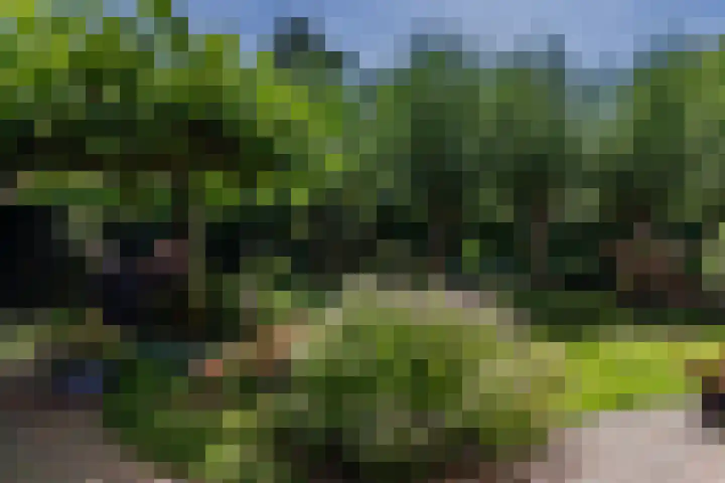 Ossenweide 68 Zwaag thumbnail 43