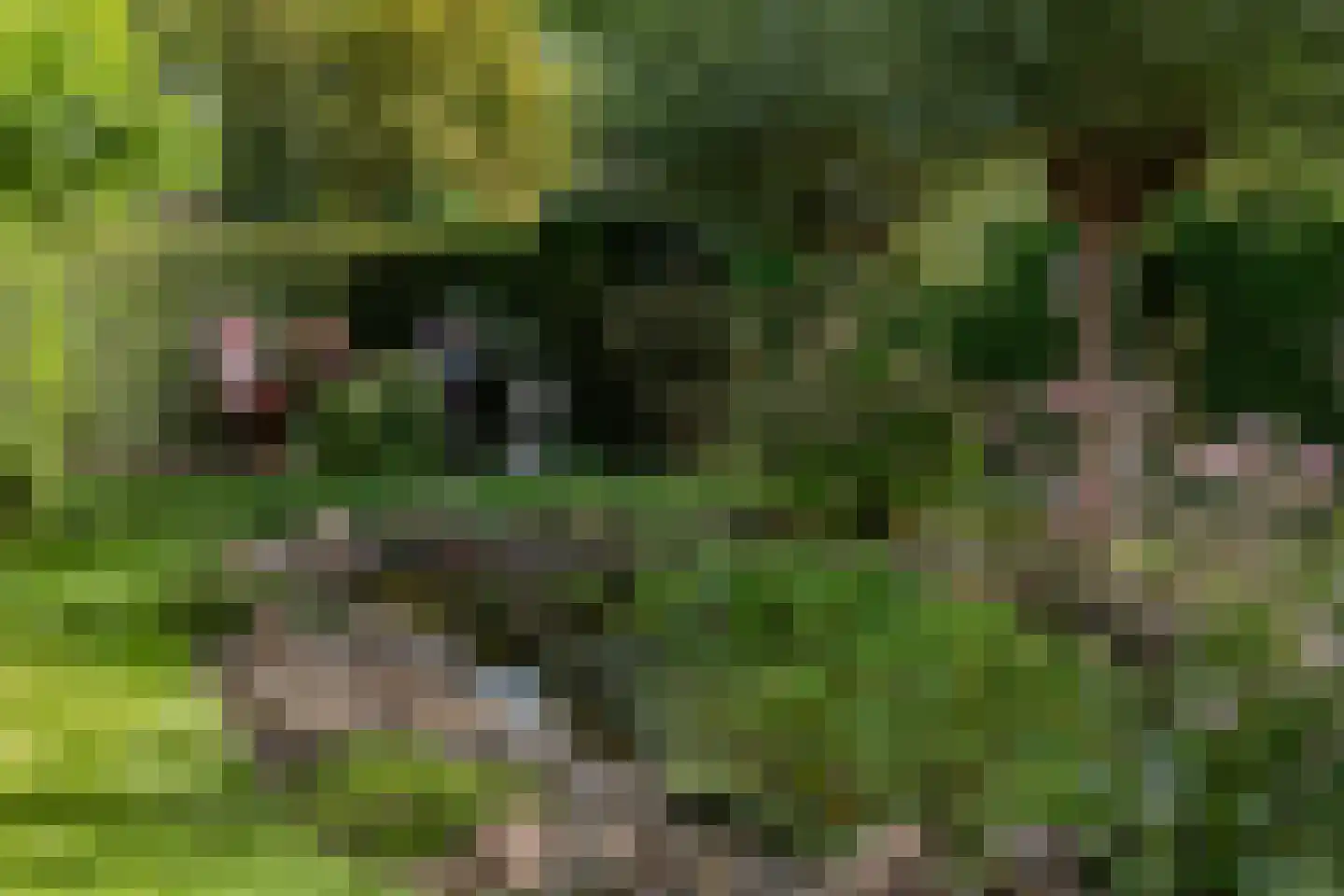 Ossenweide 68 Zwaag thumbnail 44