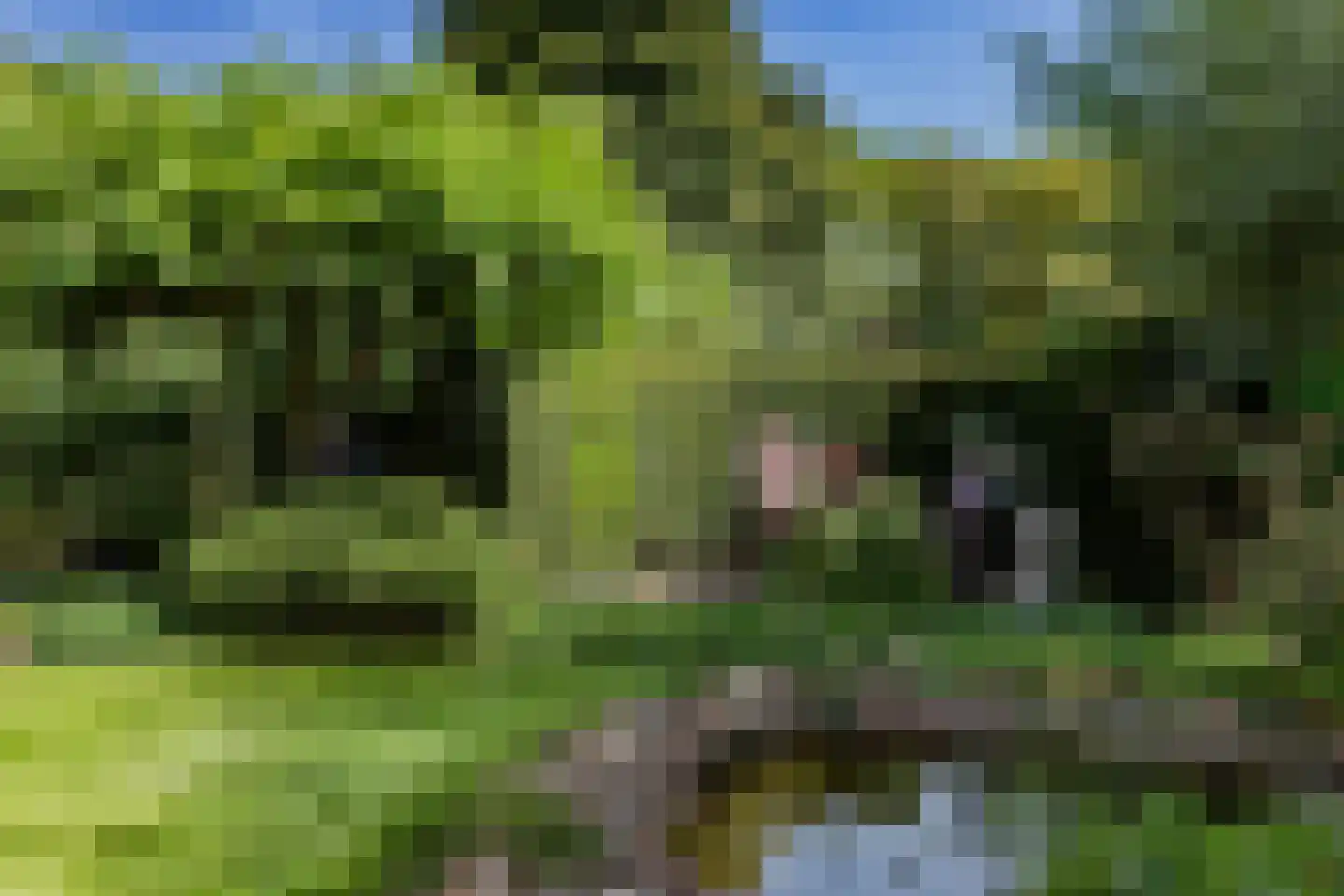 Ossenweide 68 Zwaag thumbnail 46