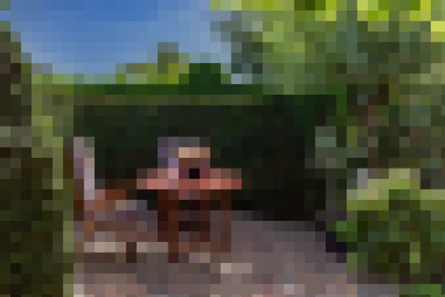 Ossenweide 68 Zwaag thumbnail 47