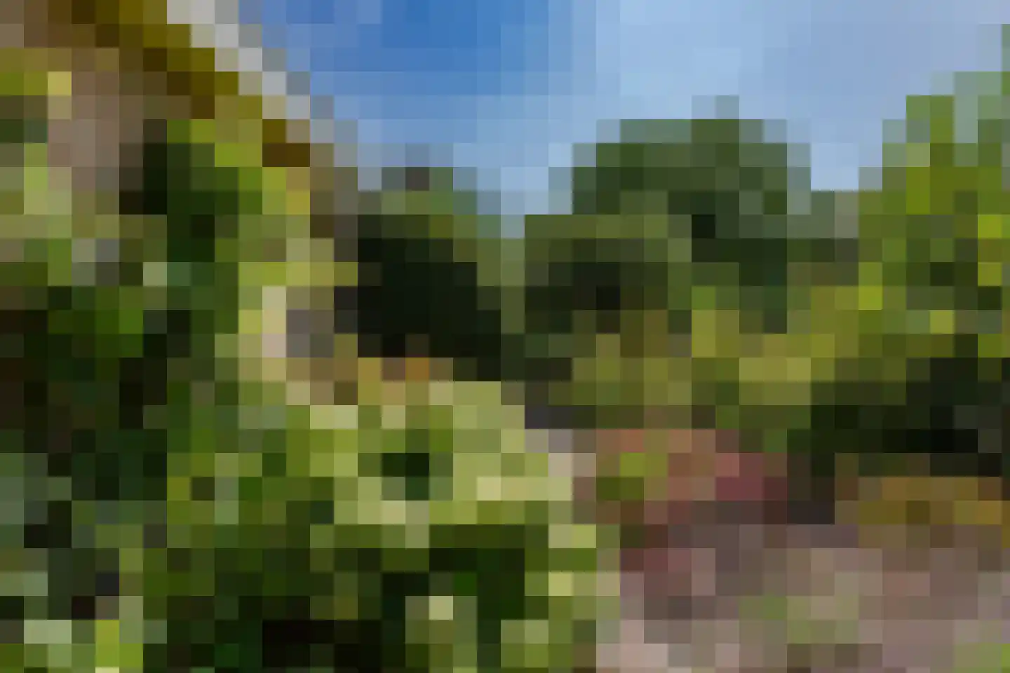 Ossenweide 68 Zwaag thumbnail 48