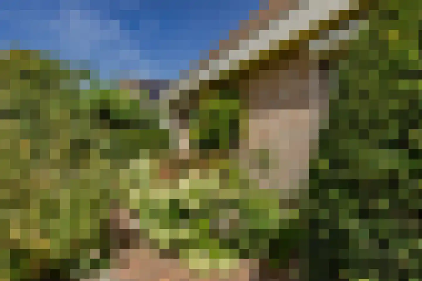 Ossenweide 68 Zwaag thumbnail 49