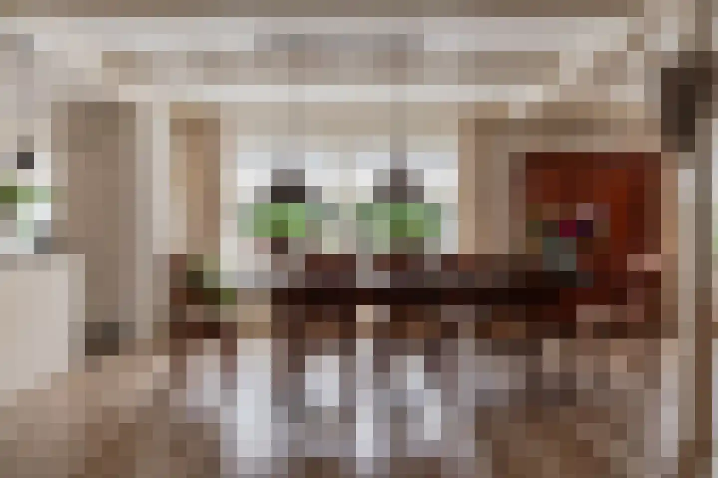 Ossenweide 68 Zwaag thumbnail 5
