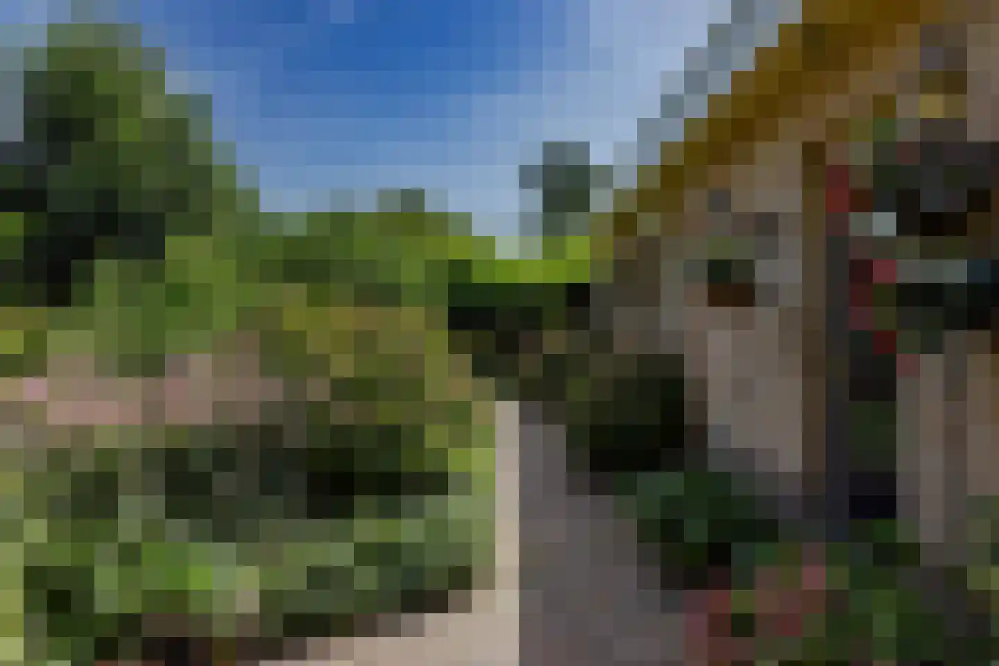Ossenweide 68 Zwaag thumbnail 50