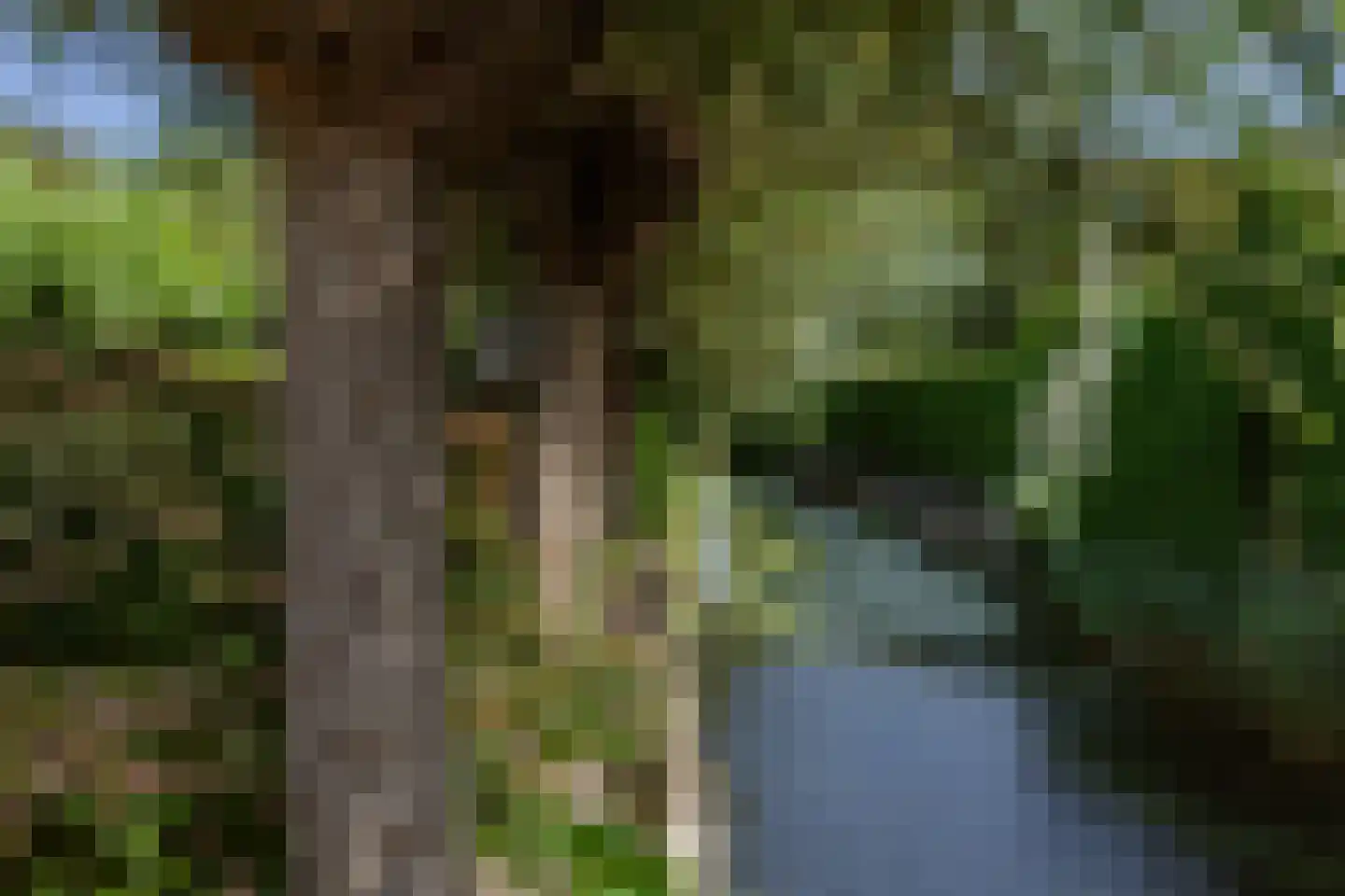 Ossenweide 68 Zwaag thumbnail 54