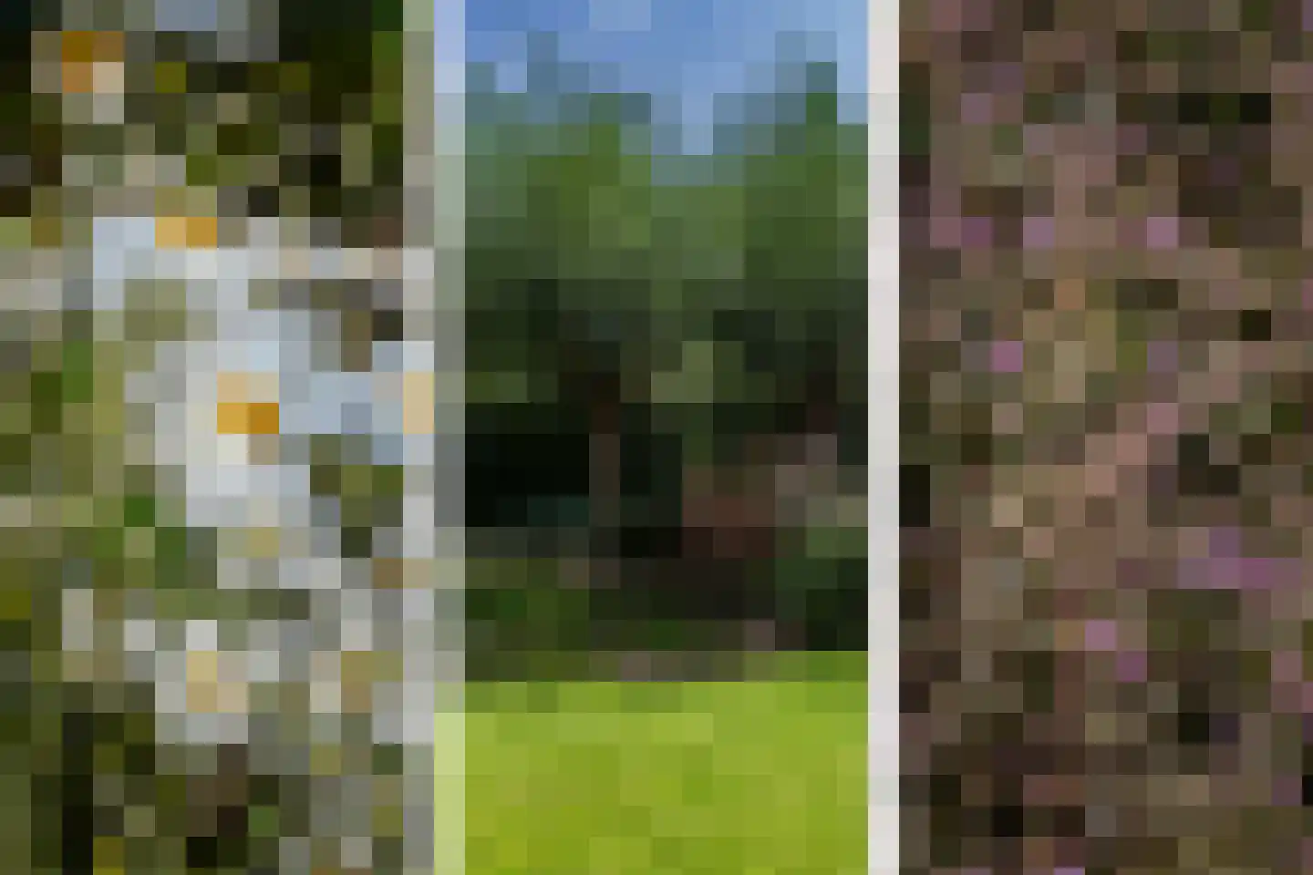 Ossenweide 68 Zwaag thumbnail 55