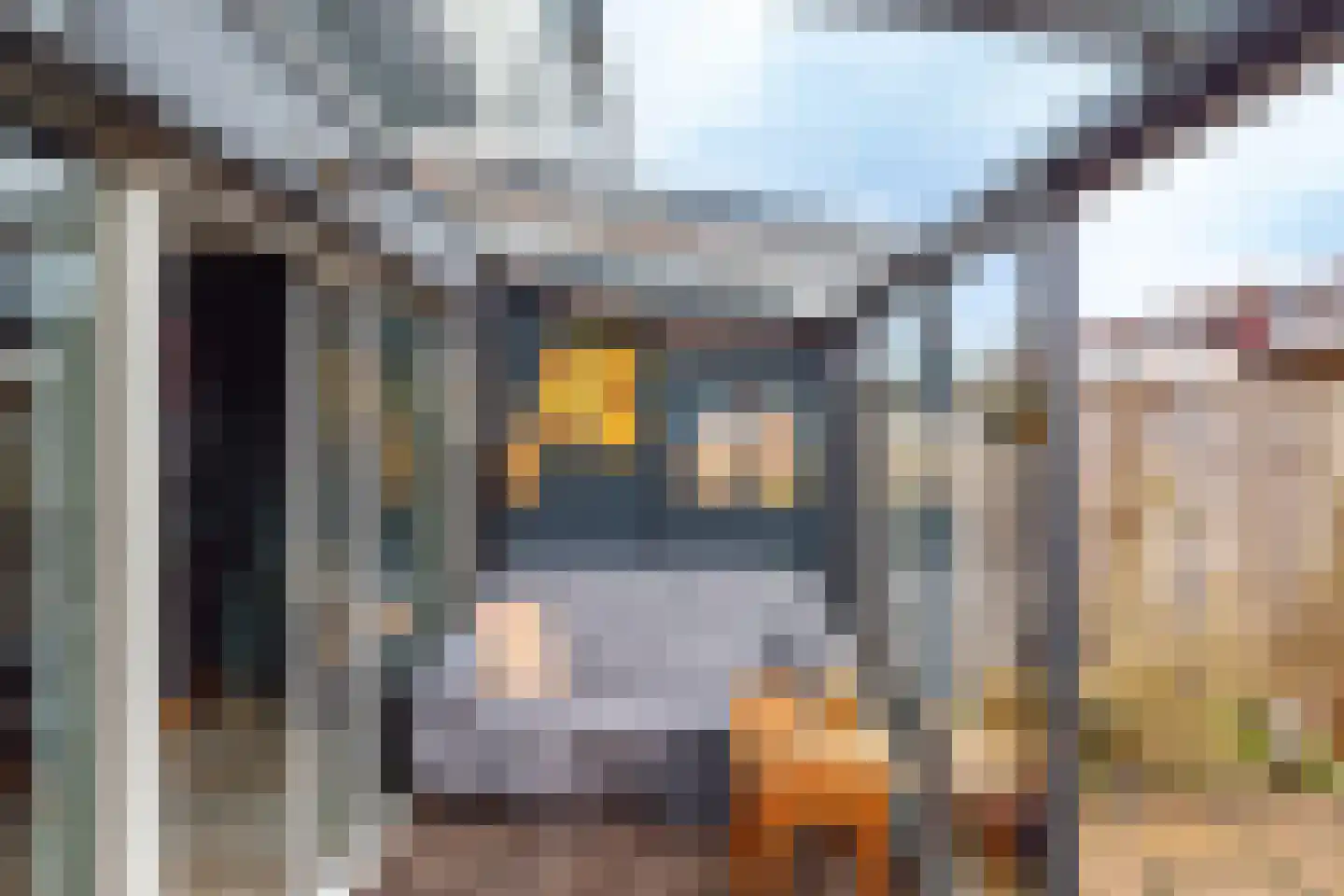 Ossewagendrift 19 Nieuwegein thumbnail 35