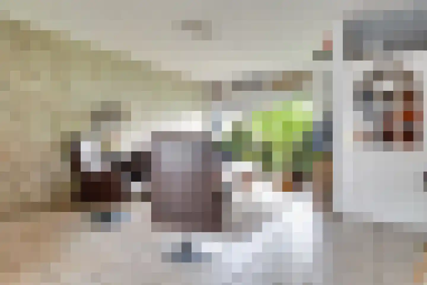 Ossewagendrift 19 Nieuwegein thumbnail 6