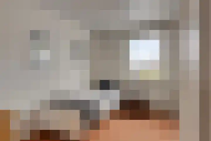 Osseweg 27 Berghem thumbnail 25