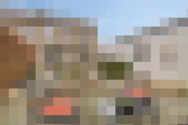 Osseweg 27 Berghem thumbnail 33