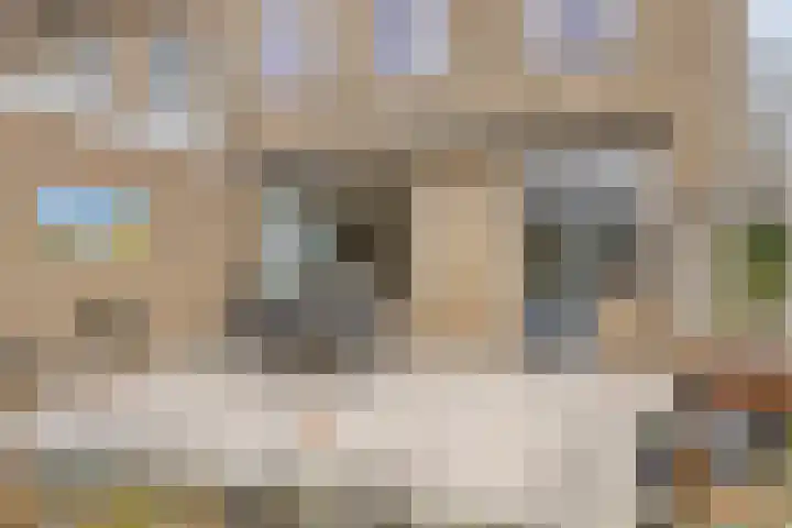 Osseweg 27 Berghem thumbnail 35