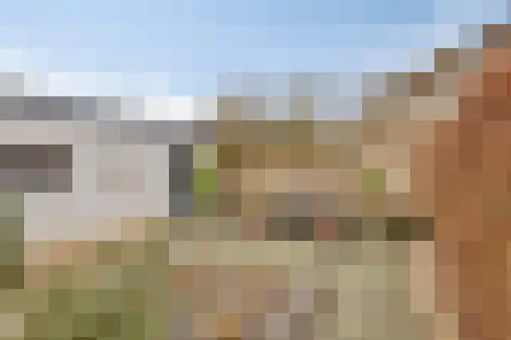 Osseweg 27 Berghem thumbnail 36