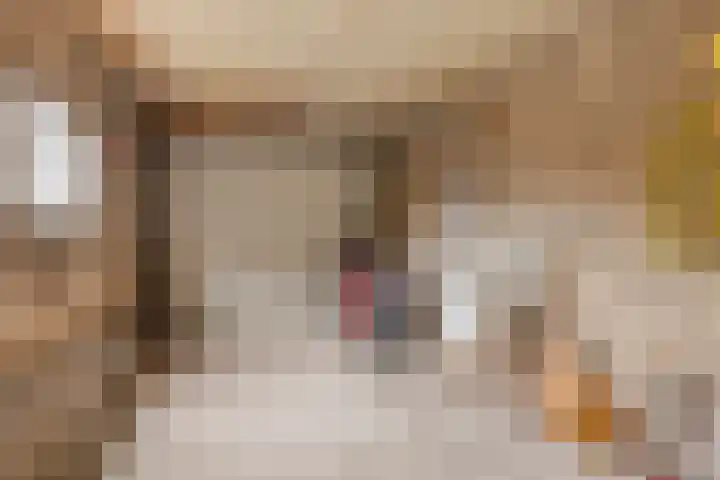 Osseweg 27 Berghem thumbnail 38