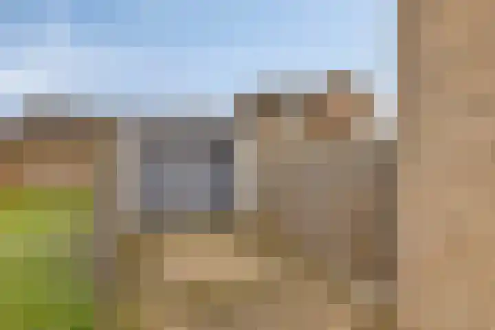 Osseweg 27 Berghem thumbnail 40