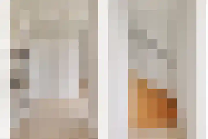 Osseweg 27 Berghem thumbnail 7