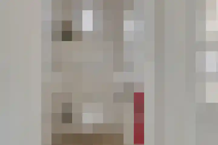 Osseweg 27 Berghem thumbnail 8