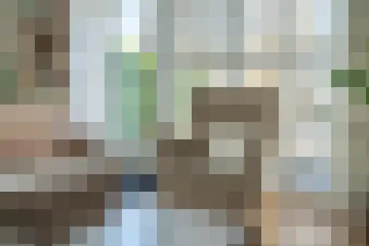 Ossewei 12 Rossum thumbnail 15