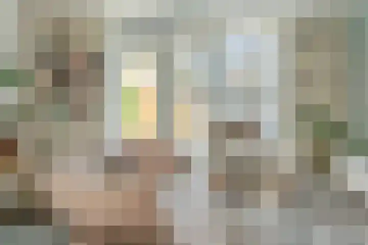 Ossewei 12 Rossum thumbnail 16