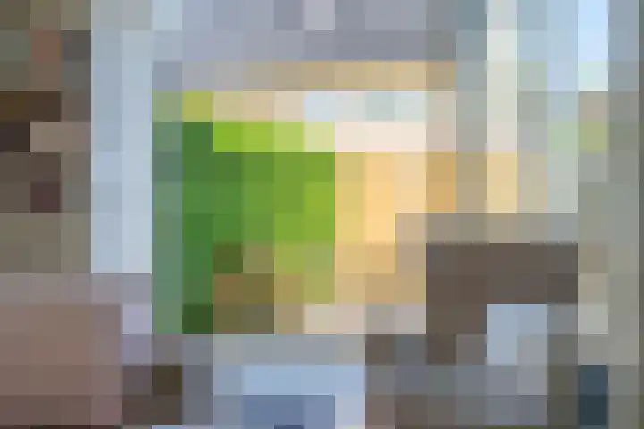 Ossewei 12 Rossum thumbnail 17