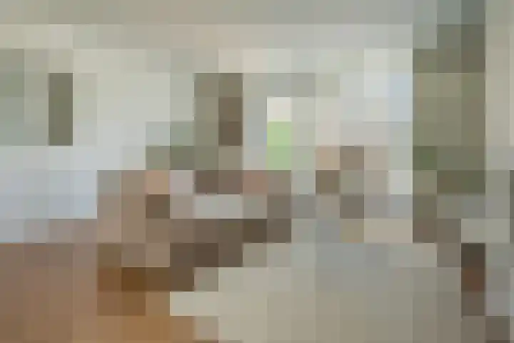 Ossewei 12 Rossum thumbnail 19